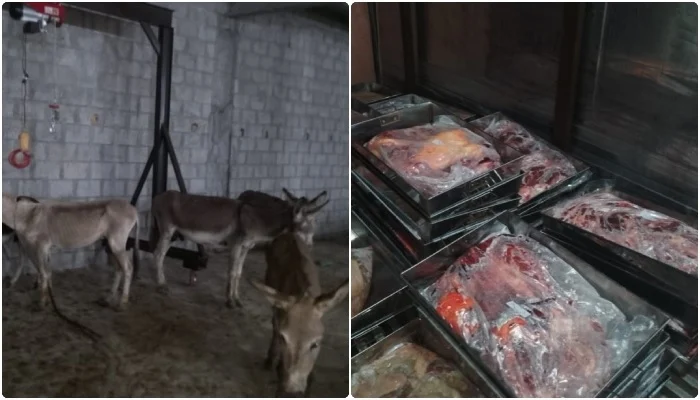 Islamabad Donkey Meat Raid